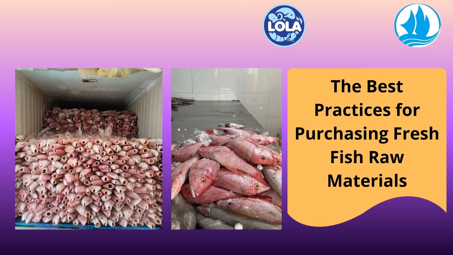  The Best Practices for Purchasing Fresh Fish Raw Materials